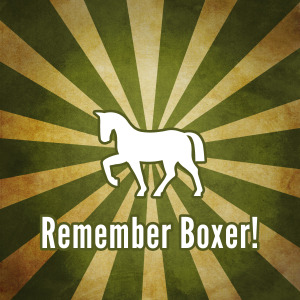Remember Boxer